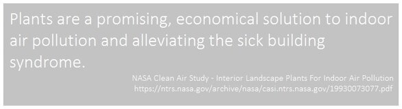NASA Clean Air Study